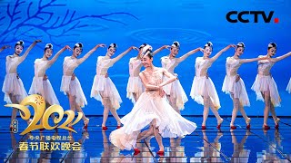 感受诗意中国 看“吉祥之鸟”《朱鹮》的优雅姿态 「2021央视春晚」| CCTV春晚