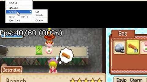 DeSmuME Emulator how to use internal cheat search