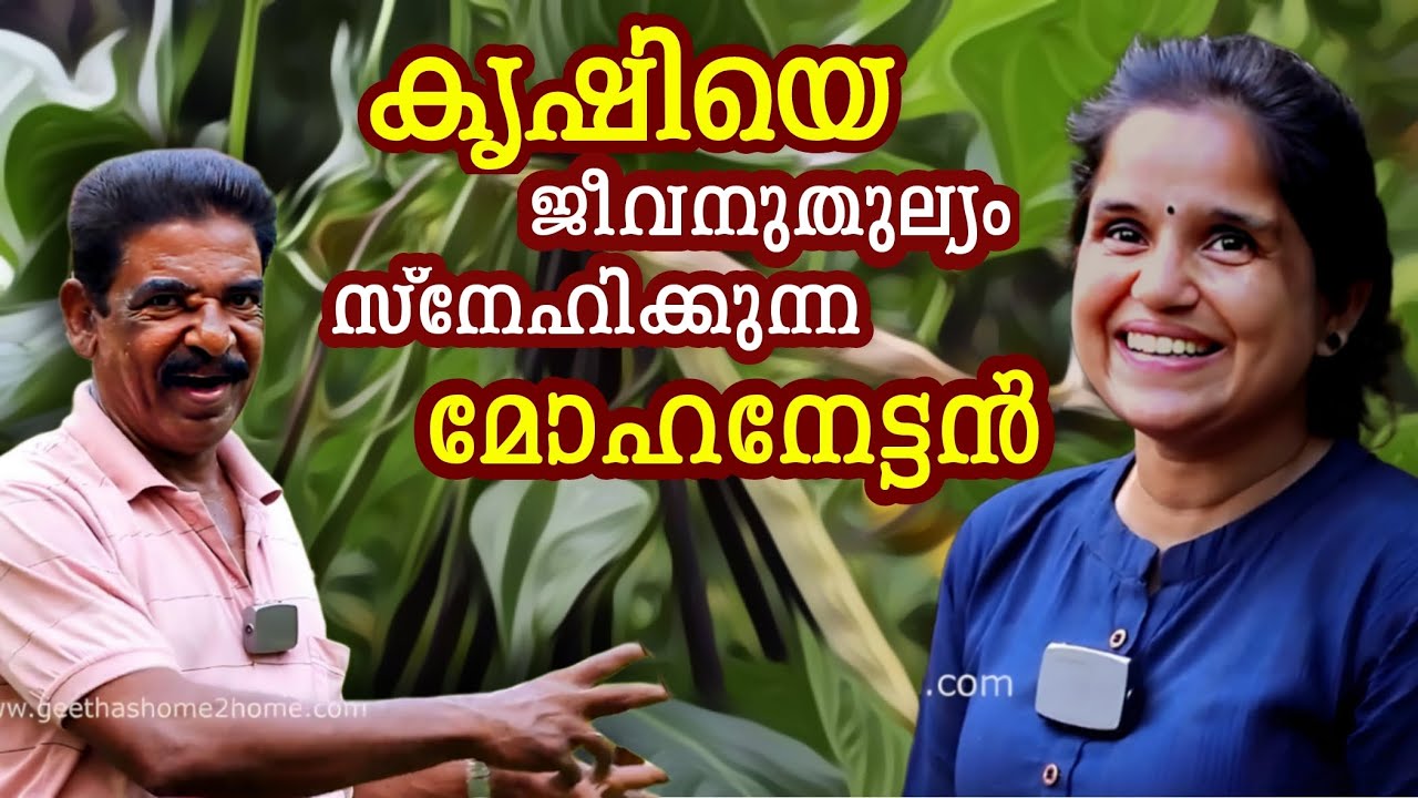 കൃഷിയെ ജീവന് തുല്യം സ്നേഹിക്കുന്ന മോഹനേട്ടൻ Geethas Home2Home