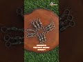 Masih sering senar melintir atau rig gampang kusut?Saatnya upgrade pakai ✨ MAGNUM SWIVEL ✨