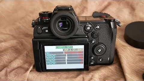 Panasonic Lumix Shutter Count S1H
