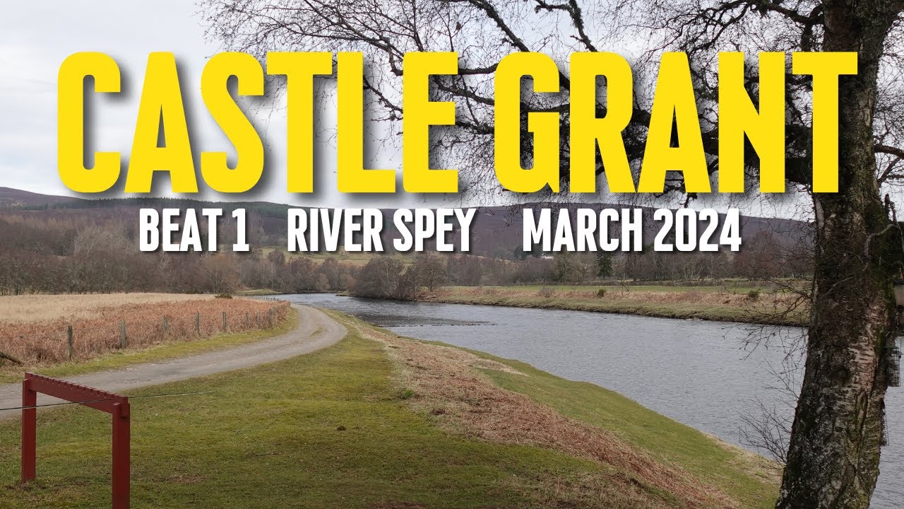 Salmon Fly Fishing | Castle Grant | Beat 1 | March 2024