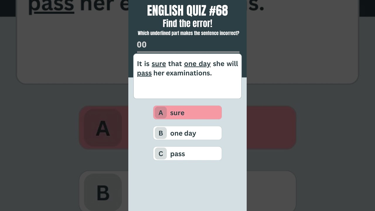 English Error Correction Quiz 68
