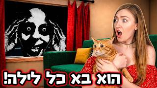 בלילה ה-7 אנומליות פרצו למציאות! שומרת על חתול בבית מקולל