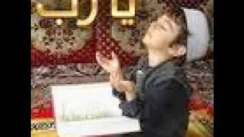 سورة عبـس كاملة لشيخ السديس SURAH- ABSAA abed alrahman alsudais