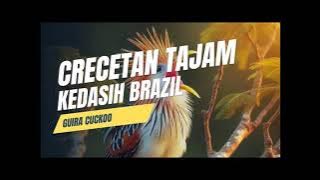 MASTERAN CRECETAN TAJAM ......!!!!