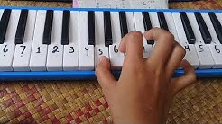 Lagu pianika anak kambing saya  - Durasi: 0:42. 