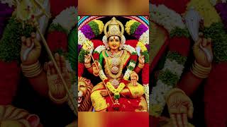 Varahi amman #varahi #religion #devotional #varahi_vastu #god #varahidevi #astrology #shorts