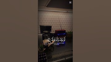 سورة الإخلاص 🤍 #اكسبلور #quran #allah #المصحف #قرآن #سورة_الاخلاص #قطر #قهوة