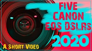 Five Canon EOS Series❤️|| A Short Video||Mallu Logger