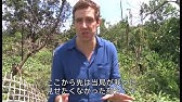 危機にあるロヒンギャ難民 Youtube