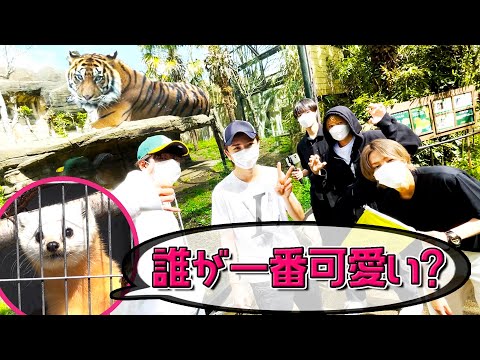HiHi Jets【初の仙台5人旅】動物園で大ハシャギ編~第1夜~