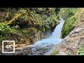 Lava Canyon Trail | Lava Canyon Falls | Suspension Bridge | Waterfalls &amp; Rivers | Virtual Treadmill