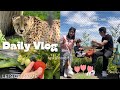 Family day out vlog   strawberry   zoo  tibetanvlogger  tibetanyoutuber 2024