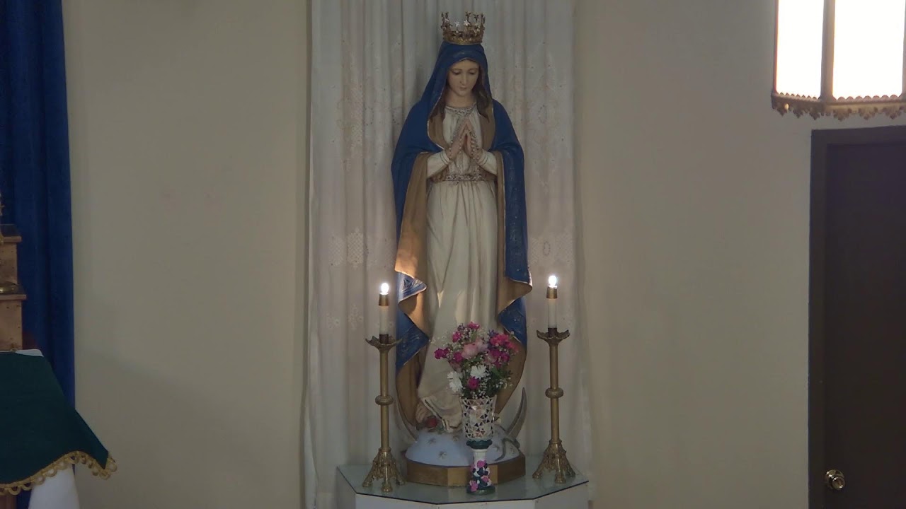 Rosary, November 21, 2024