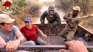 75  Incredible Safari Moments Caught On Camera | Part 3