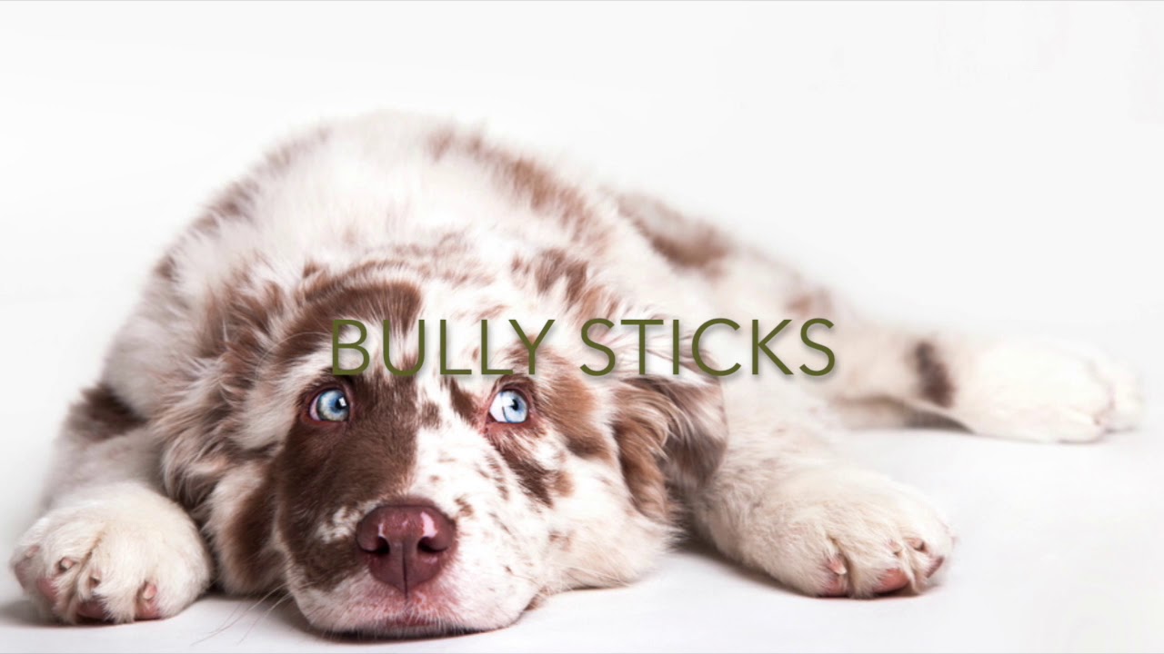 Top Dog Chews Bully Sticks