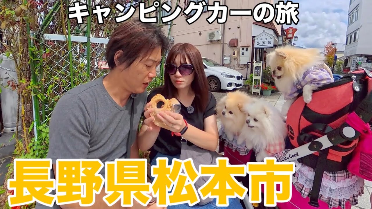 【松本市ぶらり旅】松本城周辺の神社や商店街を散策しながら食べ歩きしてきました