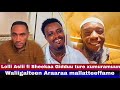 Obbo Aslii Fi Sheekaa Roobee Giddutti Mariin Araaraa Taasifamee Waliigalterra Gahanii Jiru 