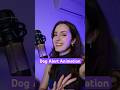 Dog Alert Animation for your Livestream #streamingtips #twitch #soundalerts