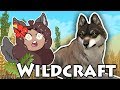 Summer Fields for Wolf Pups?! 🐺 WildCraft • Season 2 • #6