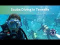 Scuba Diving Adventure with Excel Scuba Dive Tenerife | Canary Green Explores Abades 🐟