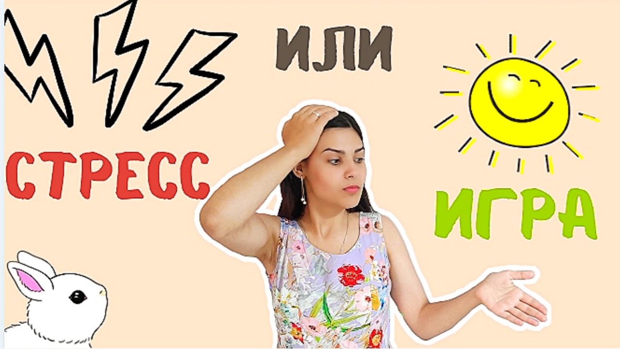 Как играть с декоративными кроликами и нужно ли им это?