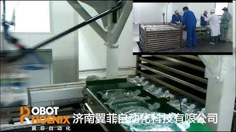 Robotphoenix pharmaceutical infusion bag tray placing and collage with delta robot automation design