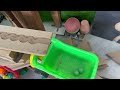 Marble Run Race ASMR Track with Chicks suprise entry!