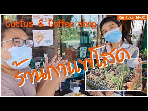 กาแฟโสด ร้านกาแฟสายหวาน ไปร้านเดียวได้ทั้งกาแฟ และ Cactus เป็นยังไงไปดูกัน | RinTalon EP08