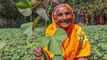 Our Research Centers at Work: Exciting Research for Impact by 2030