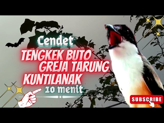 Masteran Cendet Isian Greja, Tengkek Buto, Kuntilanak - Cukup 10 Menit class=