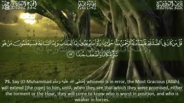 سوره مريم الصفحة 6