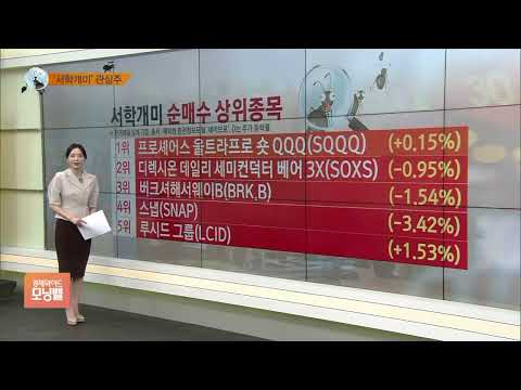 [서학개미 뭐샀나] 반도체·나스닥 지수 인버스 <strong>ETF로</strong> 돌아선 서학개미