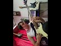 Blood in The World´s Hand - Iron Maiden (BASS INTRO)