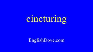 How To Pronounce Cincturing In American English