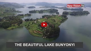 New vision tv offers analyzed news content on trending stories in
uganda, be it politics, business, and the day today life this is
broadcast various shows...