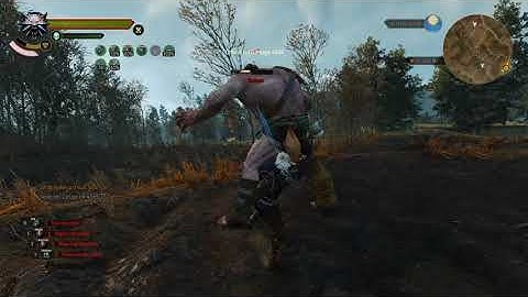 Witcher 3 - Ghost Mode - Euphoria Cat vs Cyclops