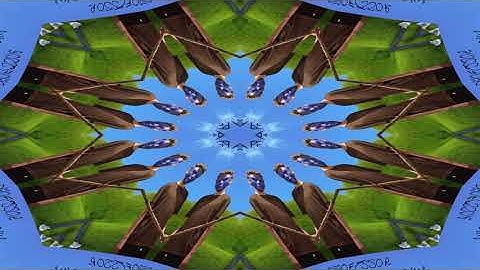 Intro to PB2 (Official Video)