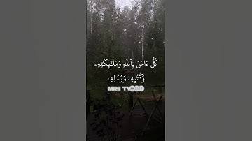 ماهر المعيقلي - سورة البقرة ( برواية حفص عن عاصم ) الأية 285