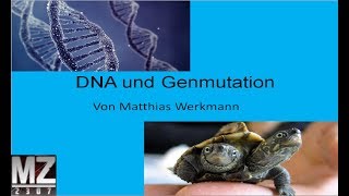 DNA und Genmutation