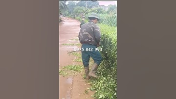 Máy cắt tỉa hàng rào cây cảnh chạy xăng 2 lưỡi thép 60cm đặt hàng - https://vt.tiktok.com/ZS2Qw7dCR/