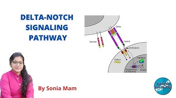 CSIR UGC NET | DELTA-NOTCH SIGNALING PATHWAY | #BiologyAllInOne