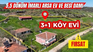 5,5 Dönüm Konut İmarli Arsa İçi̇nde Köy Evi̇ Ve Dami Mevcut