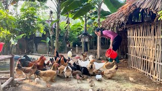 ကျေးလက်ဒေသက ငြိမ်းချမ်းတဲ့နေ့တစ်နေ့ | ဂျင်ဆင်းပန်းလက်ဖက်ရည်နဲ့ ကျေးလက်ဟန် အစားအစာကို ခံစားခြင်း screenshot 1