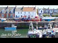 スコットランドvlog|漁船から買い物|イギリス暮らし|旅するアカザエビ料理|ウニ軍艦巻き|夏至と太陽の動き|海外生活