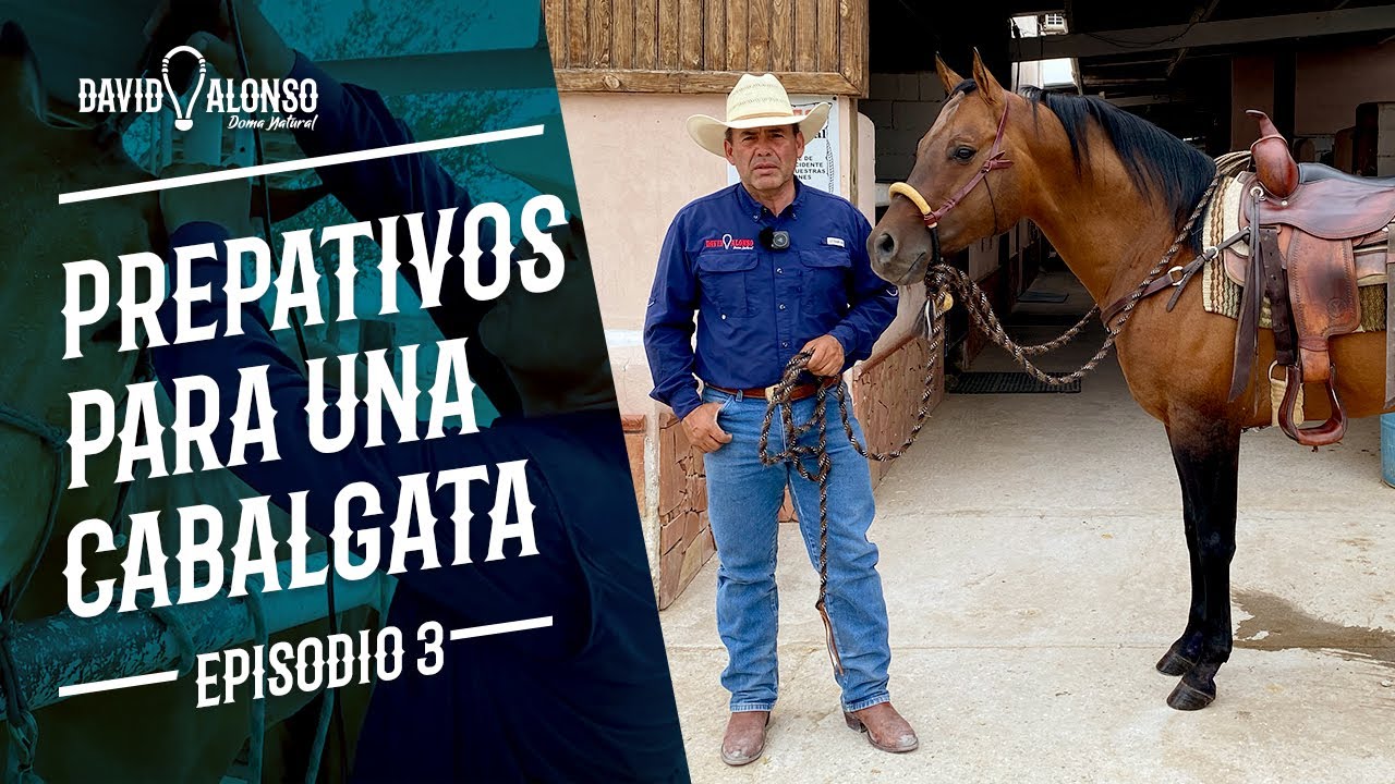 Preparativos para una Cabalgata - Episodio 3