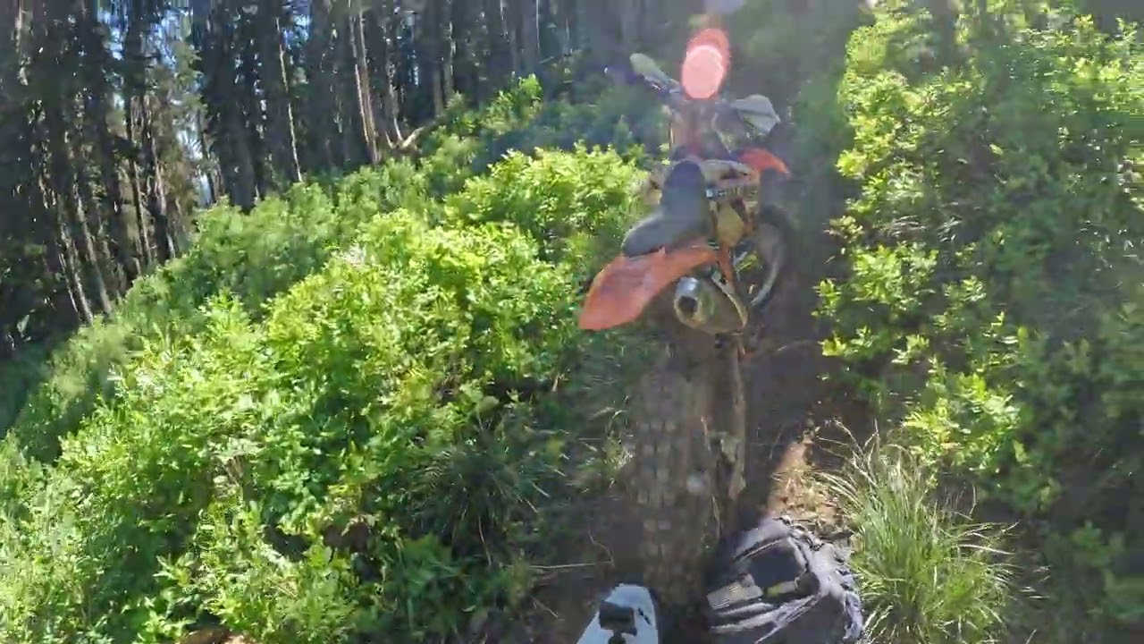 Pack Saddle Trail 29