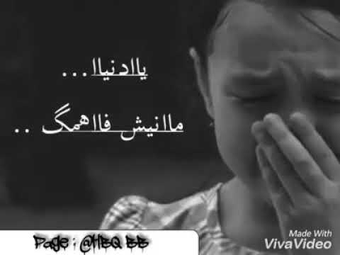 اغنية ما نيش فاهمك يا دنيا