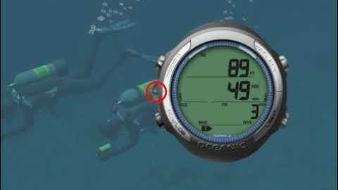Oceanic Geo 2 dive computer - Online Class - m3s7